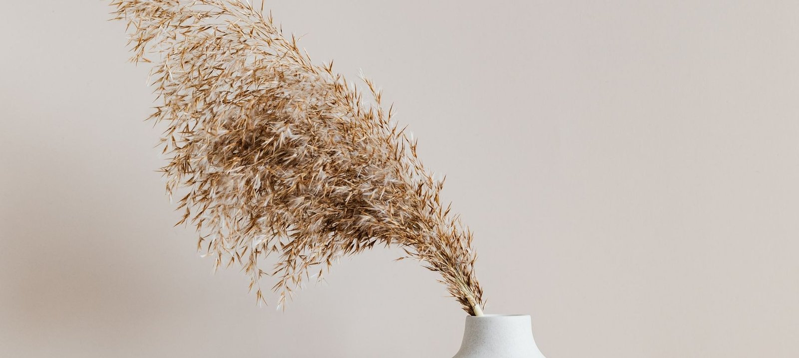 Dried botanicals in a ceramic vessel